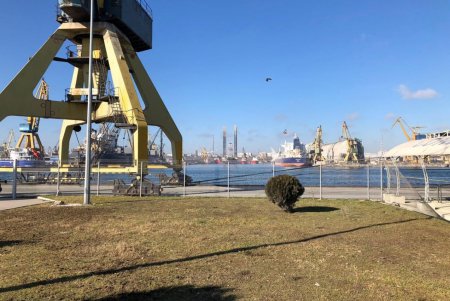 Одесская делегация посетила Констанцу для изучения опыта свободной экономической зоны (фото)