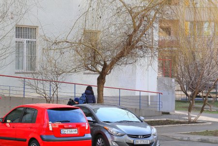 Академика Заболотного: современная улица, названная в честь первого ректора медуниверситета (фоторепортаж)