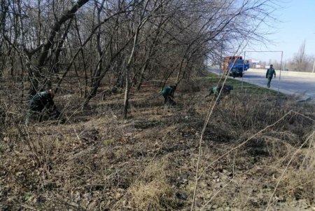 Коммунальщики навели чистоту в центре и на городских въездах (фото)