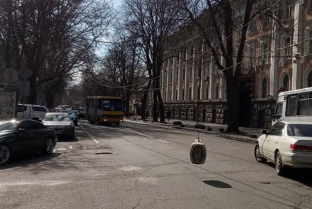 Штормовой ветер в Одессе валит деревья, обрывает провода и срывает с крыш черепицу (фото, обновлено)