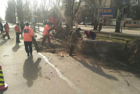 Повалено 13 высоковольтных линий и 400 деревьев: работы по ликвидации последствий урагана продолжаются (фото)