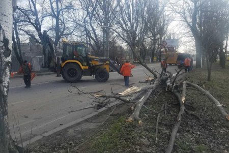 Повалено 13 высоковольтных линий и 400 деревьев: работы по ликвидации последствий урагана продолжаются (фото)