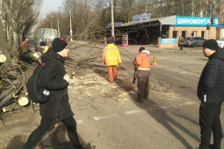 Повалено 13 высоковольтных линий и 400 деревьев: работы по ликвидации последствий урагана продолжаются (фото)
