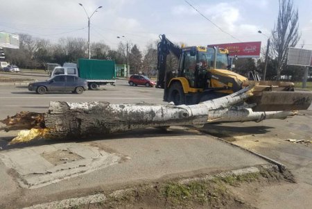 Повалено 13 высоковольтных линий и 400 деревьев: работы по ликвидации последствий урагана продолжаются (фото)