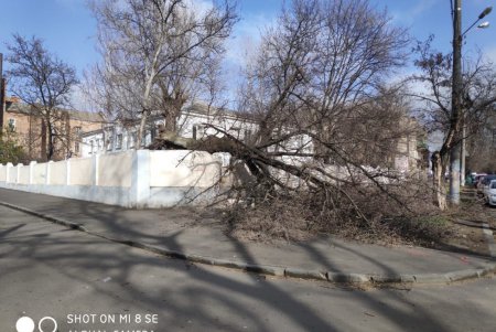 Повалено 13 высоковольтных линий и 400 деревьев: работы по ликвидации последствий урагана продолжаются (фото)
