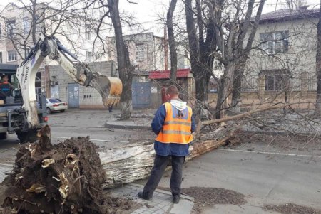 Повалено 13 высоковольтных линий и 400 деревьев: работы по ликвидации последствий урагана продолжаются (фото)