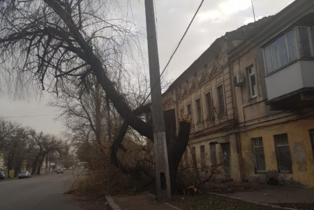 Повалено 13 высоковольтных линий и 400 деревьев: работы по ликвидации последствий урагана продолжаются (фото)