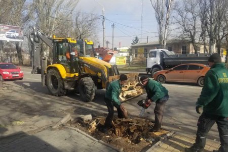 Повалено 13 высоковольтных линий и 400 деревьев: работы по ликвидации последствий урагана продолжаются (фото)