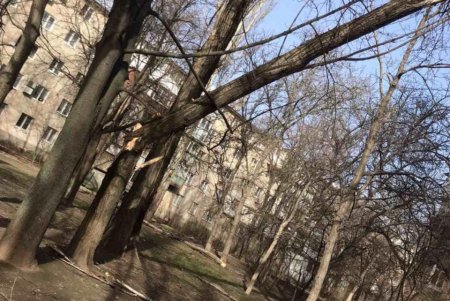 Повалено 13 высоковольтных линий и 400 деревьев: работы по ликвидации последствий урагана продолжаются (фото)