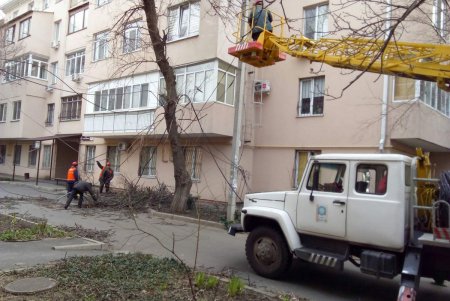 С проезжей части улиц и контактных линий убрали почти 200 упавших деревьев: транспорт ходит без сбоев (фото)