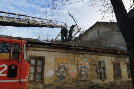 С проезжей части улиц и контактных линий убрали почти 200 упавших деревьев: транспорт ходит без сбоев (фото)