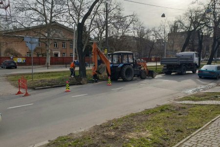 С проезжей части улиц и контактных линий убрали почти 200 упавших деревьев: транспорт ходит без сбоев (фото)