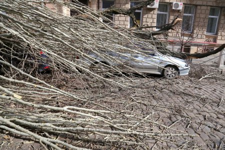 Ураган «Юля» атаковал Одессу (фоторепортаж)