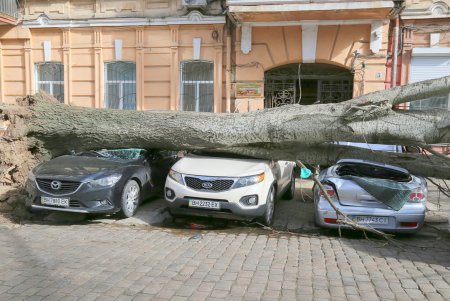 Ураган «Юля» атаковал Одессу (фоторепортаж)