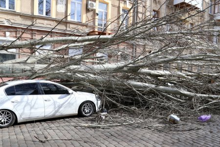 Ураган «Юля» атаковал Одессу (фоторепортаж)
