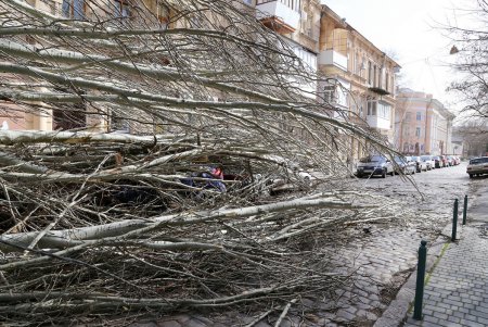 Ураган «Юля» атаковал Одессу (фоторепортаж)