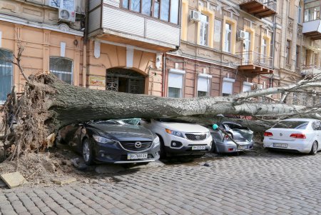 Ураган «Юля» атаковал Одессу (фоторепортаж)