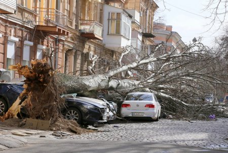 Ураган «Юля» атаковал Одессу (фоторепортаж)