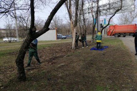 Из местных парков вывозят сухие ветки и листья, а также очищают газоны от мусора (фото)