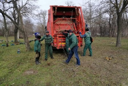 Из местных парков вывозят сухие ветки и листья, а также очищают газоны от мусора (фото)