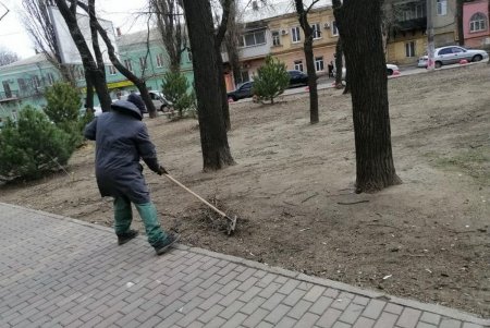 Из местных парков вывозят сухие ветки и листья, а также очищают газоны от мусора (фото)