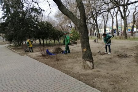 Из местных парков вывозят сухие ветки и листья, а также очищают газоны от мусора (фото)