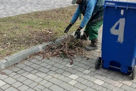 Из местных парков вывозят сухие ветки и листья, а также очищают газоны от мусора (фото)