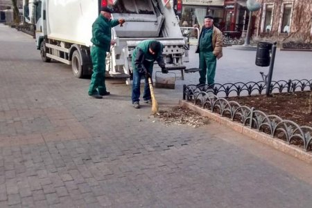 Из местных парков вывозят сухие ветки и листья, а также очищают газоны от мусора (фото)