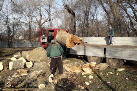Коммунальщики распиливают и вывозят последние 34 дерева, поваленных ураганом «Юля» (фото, видео)