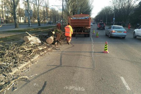 Коммунальщики распиливают и вывозят последние 34 дерева, поваленных ураганом «Юля» (фото, видео)