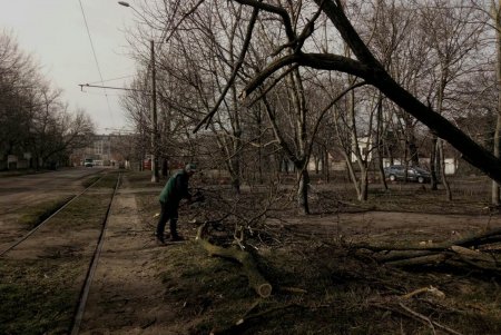 Коммунальщики распиливают и вывозят последние 34 дерева, поваленных ураганом «Юля» (фото, видео)