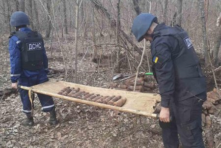 Житель Березовки наткнулся на почти 400 взрывоопасных предметов, гуляя в лесу (фото)