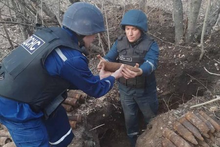 Житель Березовки наткнулся на почти 400 взрывоопасных предметов, гуляя в лесу (фото)