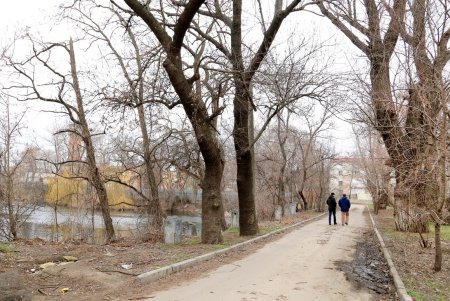 Пруд возле бывшей джутовой фабрики (фоторепортаж)