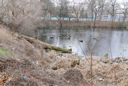 Пруд возле бывшей джутовой фабрики (фоторепортаж)