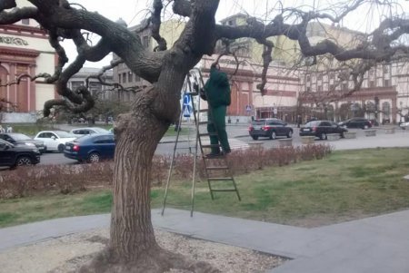 Коммунальщики навели порядок в городских парках и скверах (фото)