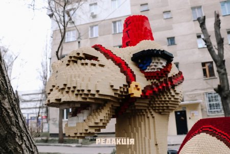 В обычном дворе на Армейской «живут» верблюд и крокодил (фото)
