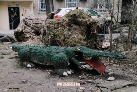В обычном дворе на Армейской «живут» верблюд и крокодил (фото)