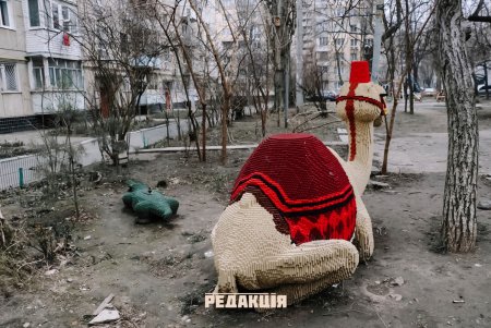 В обычном дворе на Армейской «живут» верблюд и крокодил (фото)