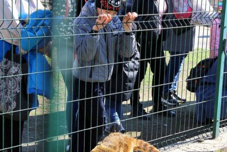 Юные и взрослые одесситы побывали в зоопарке на празднике «Для милых дам» (фоторепортаж)