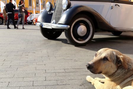 По улицам города на десятках авто: женское авторалли «Одесса-мама» (фоторепортаж)