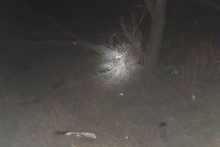 Смертельное ДТП в Измаильском районе: легковушка влетела в дерево и загорелась (фото)