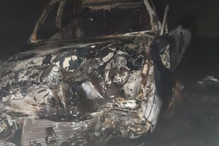 Смертельное ДТП в Измаильском районе: легковушка влетела в дерево и загорелась (фото)