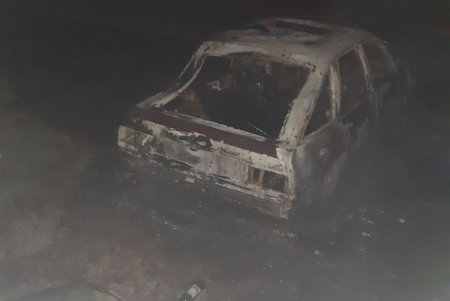 Смертельное ДТП в Измаильском районе: легковушка влетела в дерево и загорелась (фото)
