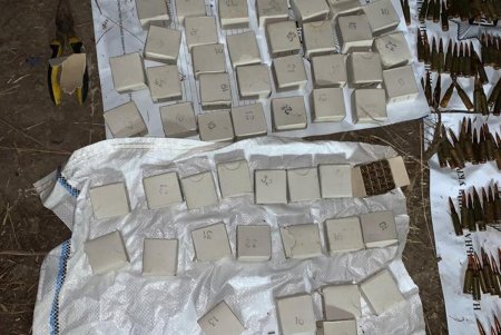 Два жителя Лиманского района утверждают, что нашли в лесу целый арсенал оружия (фото, видео)