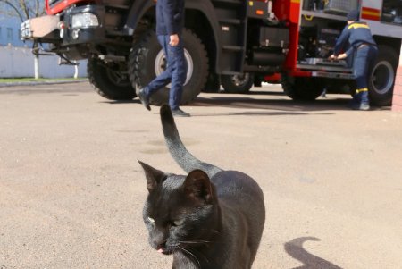 Инициатива одесситов: пожарных и спасателей части №6 ждет новое оборудование и улучшение бытовых условий (фоторепортаж) 