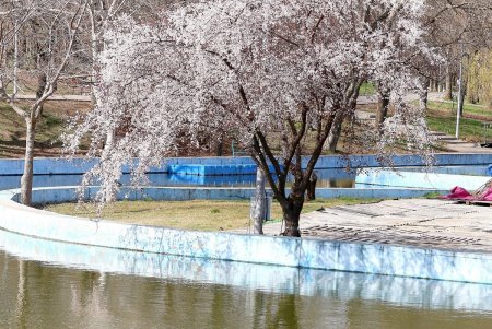 Весна в городе: одесситы вышли на прогулку (фоторепортаж)