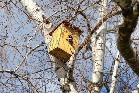 Весна в городе: одесситы вышли на прогулку (фоторепортаж)