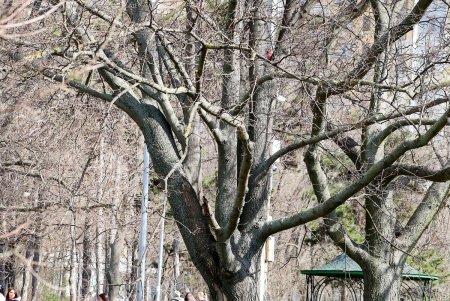 Весна в городе: одесситы вышли на прогулку (фоторепортаж)
