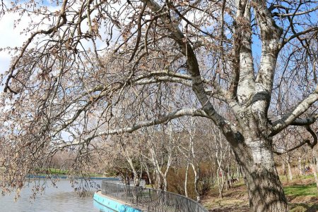 Весна в городе: одесситы вышли на прогулку (фоторепортаж)